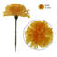 Pot de fleurs en soie-1087967431