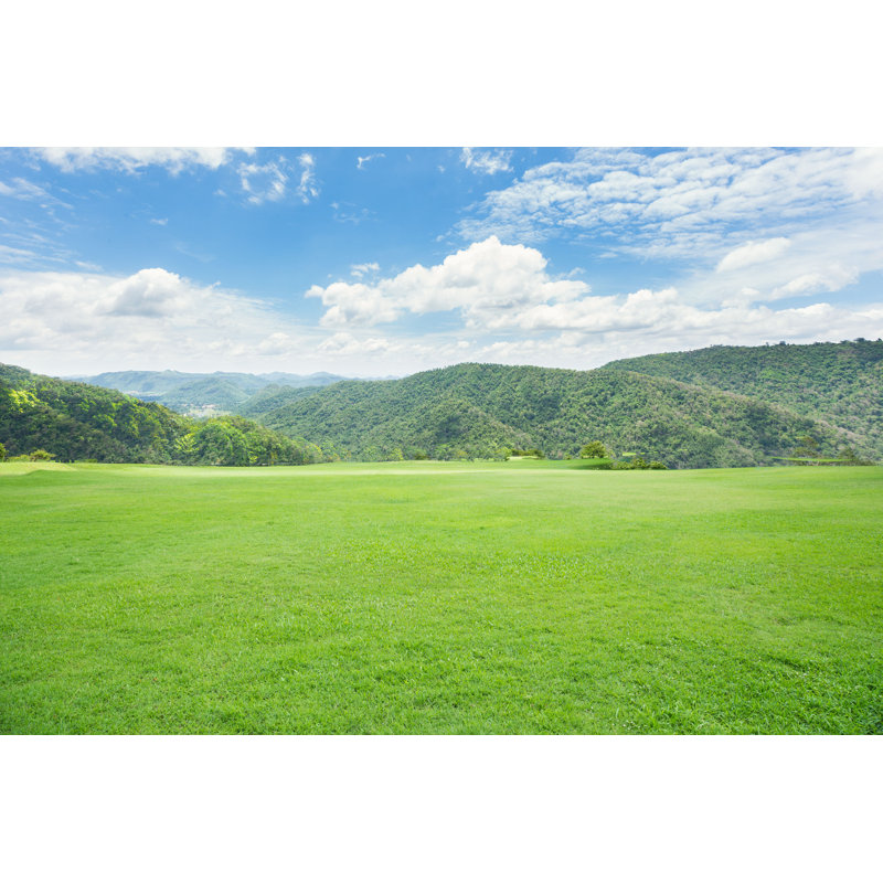 Macaluso Grass Field par - Photographie de toile tendue, H 8 po x l 12 po