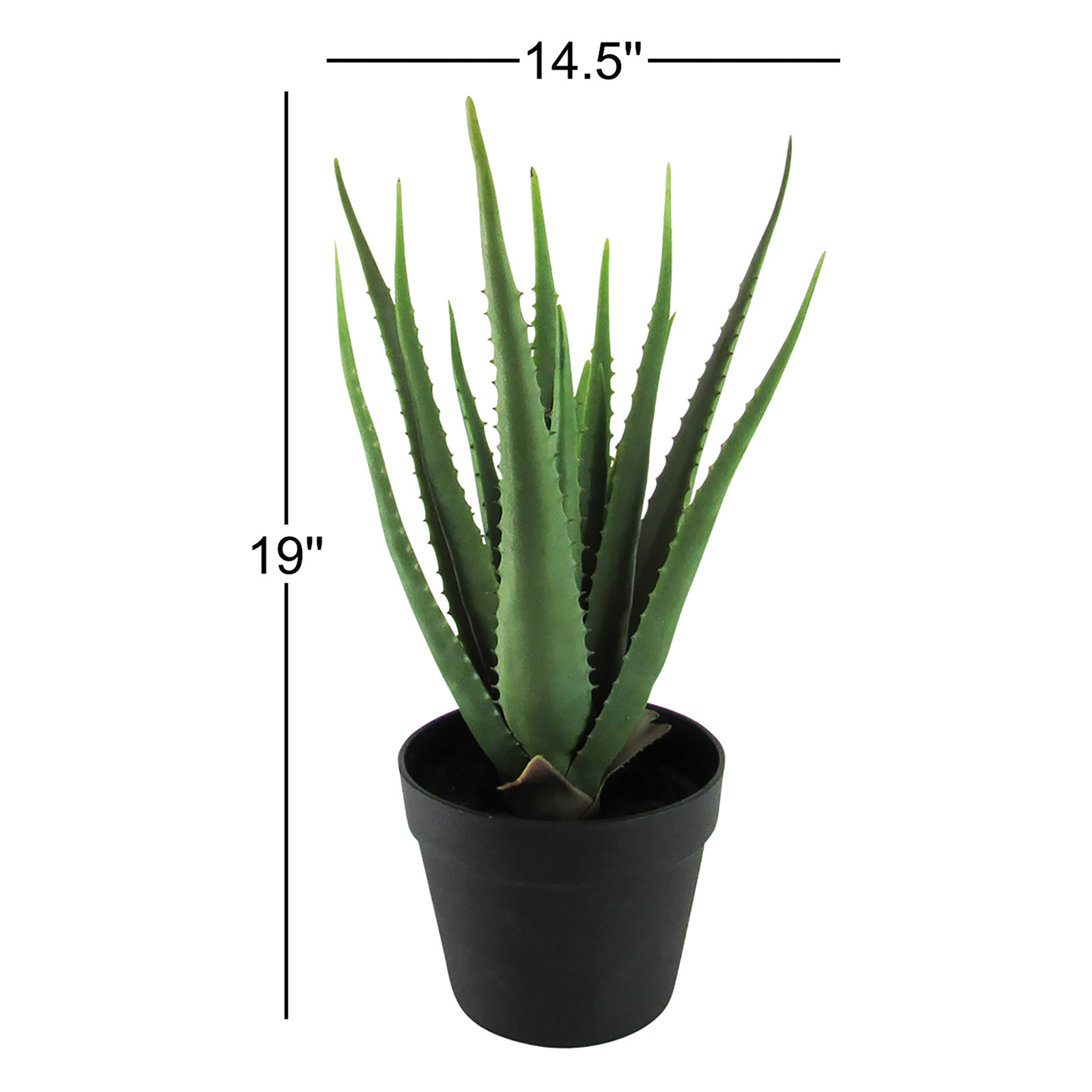 Plant in Pot, 19" H x 14.5" W x 14.5" D