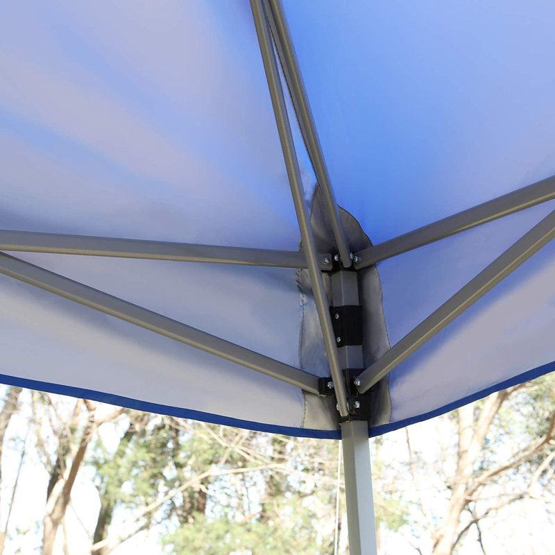 Syedali 12 Ft. W x 12 Ft. D Steel Pop-up Canopy