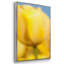 Jaune soleil I 3 pièces-526785690-526785764