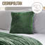 Cosmopolitan Velvet Touch Scatter Cushion-60124934