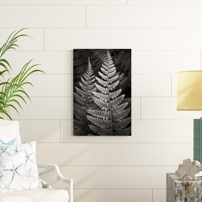 Lady Fern I, H 30 po x l 20 po x P 1,25 po