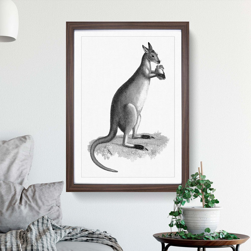 Kangaroo by George Shaw - Picture Frame Graphic Art Print, Walnut Framed, 65cm H x 48cm W x 2cm D