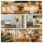 46'' Pampas Grass Plant