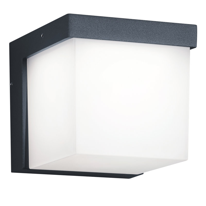 Aymond 1-Light Outdoor Sconce, Anthracite