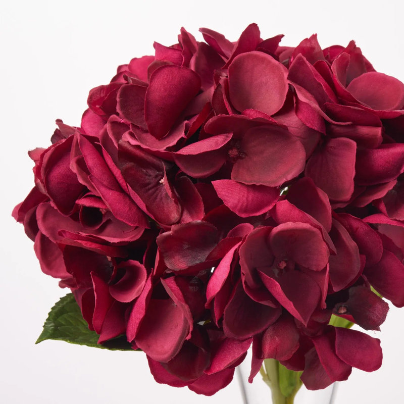 Arrangement de fleurs d'hortensia simple bourgogne