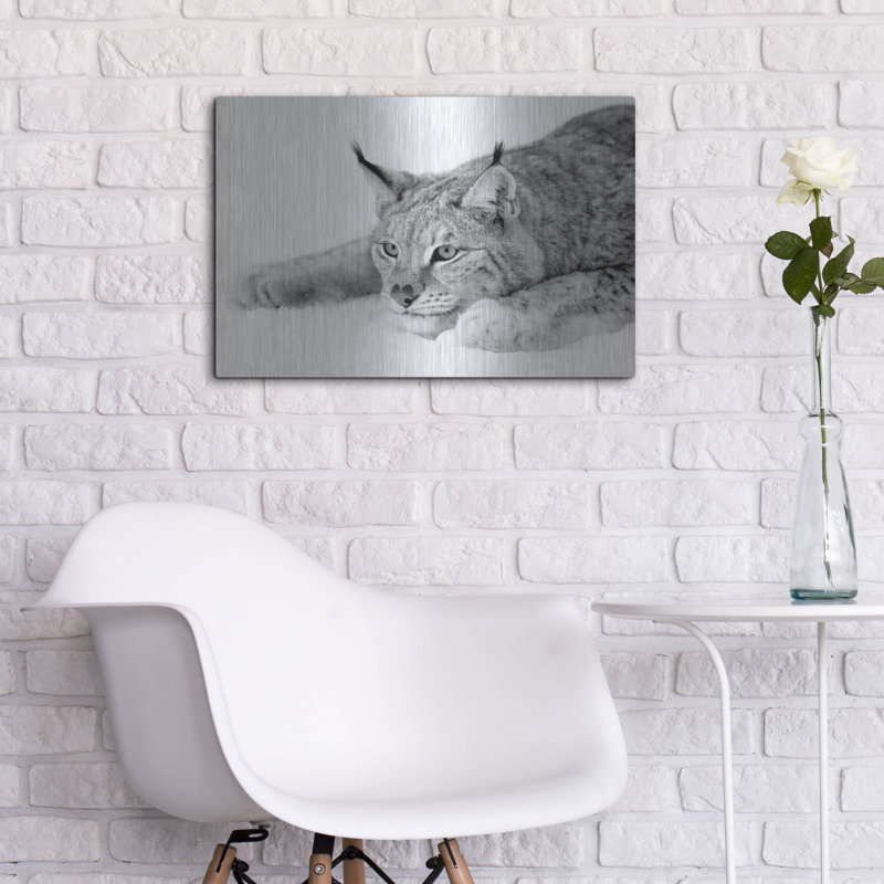 «Lynx 1» par PhotoINC Studio, H 16 po x l 24 po