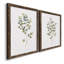 Eucalyptus I - Toile encadrée de qualité supérieure - prête à être accrochée-1043727643-1043727639