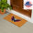 Non-Slip Outdoor Doormat