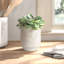 Chamel Handmade Terracotta Cachepot