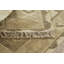 Arlie Traditional Natural Area Rug 2'3" X 8' Runner-396354507