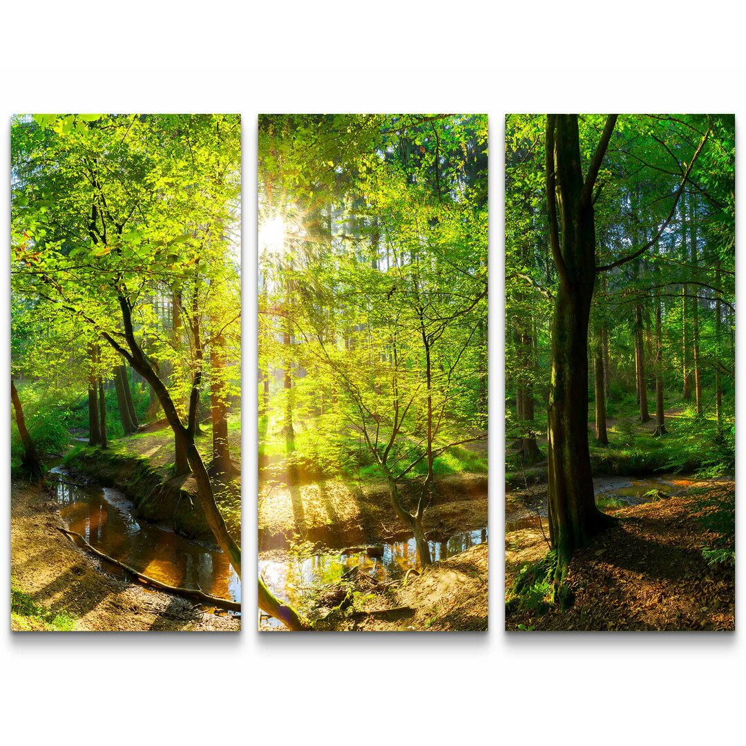 3-tlg. Leinwandbilder-Set Wald im Sonnenschein