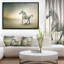 " White Horse In Motion "-26691406