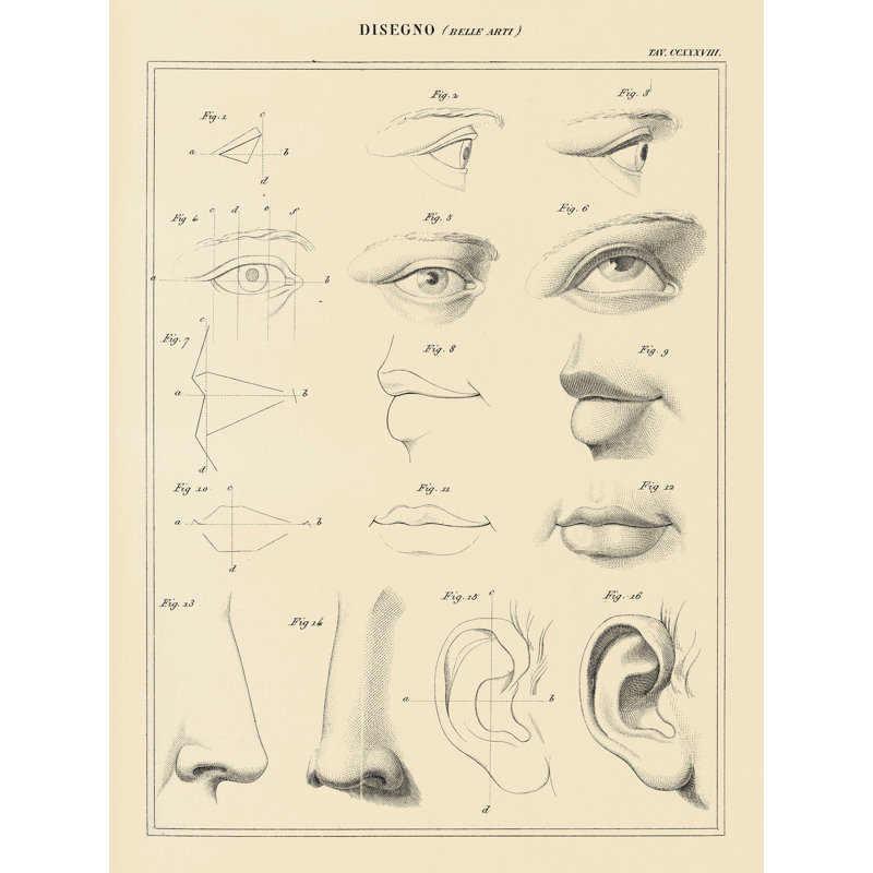 Face Face par Wild Apple Portfolio - impression sur toile tendue, H 40 po x l 30 po