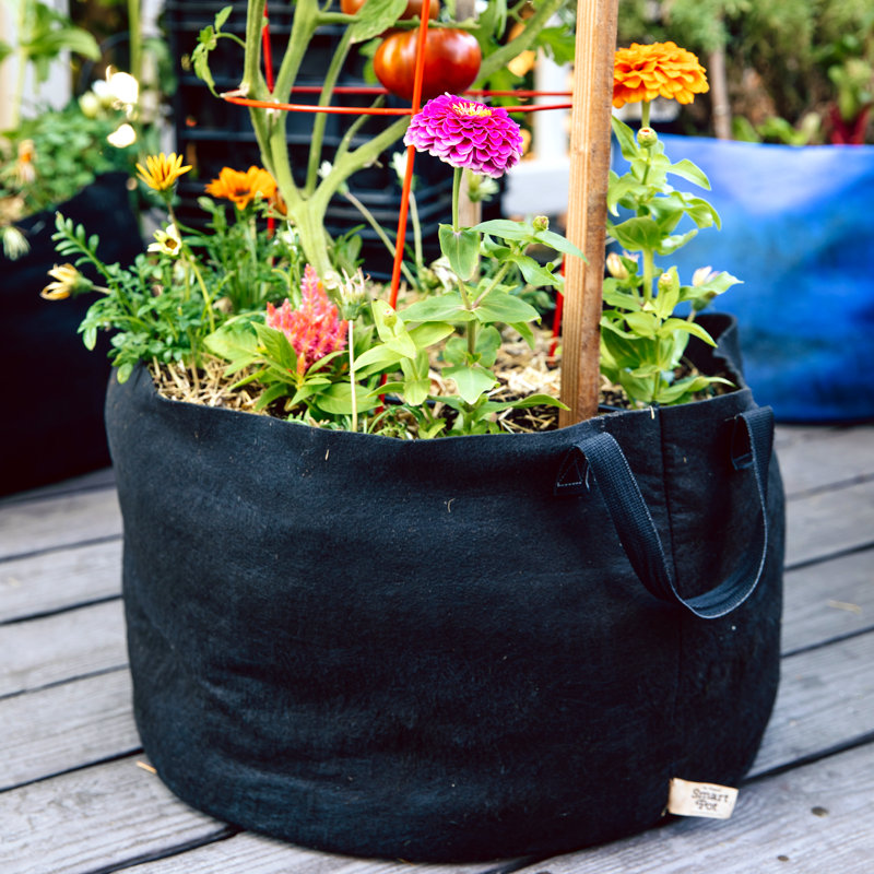 Jardinière en tissu Smart Pot®, 15,5 x 20 x 20, Orange