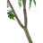 Polyscias Fruticosa Tree-112273773