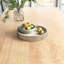 Cassidy Solid Wood Tray 1-94491998