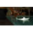The Bobb Shark Lamp