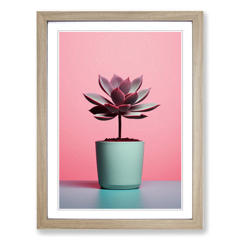 Succulent Minimalism - Single Picture Frame Print on Wood, 64cm H x 46cm W x 2cm D, Oak