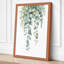 Weeping Eucalyptus Botanical - Wrapped Canvas-626186679-626186683