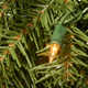 Wayfair Basics® Fir Pre-Lit Garland