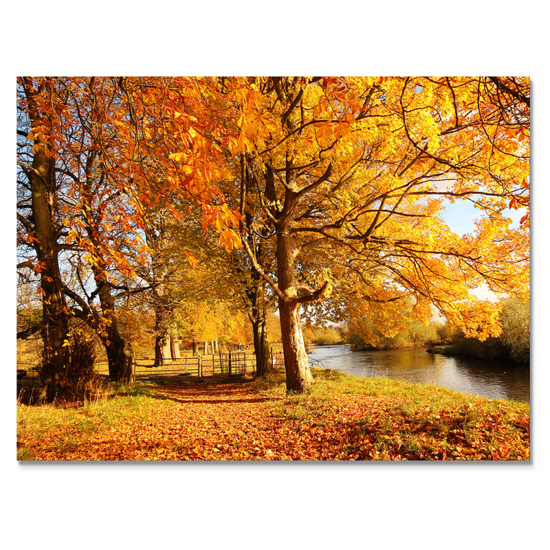 «Yellow Autumn Artistic Forest By The Lake», reproduction sur toile, H 8 po x l 12 po x P 1 po, Toile tendue