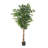 Artificial Ficus Tree-179565604