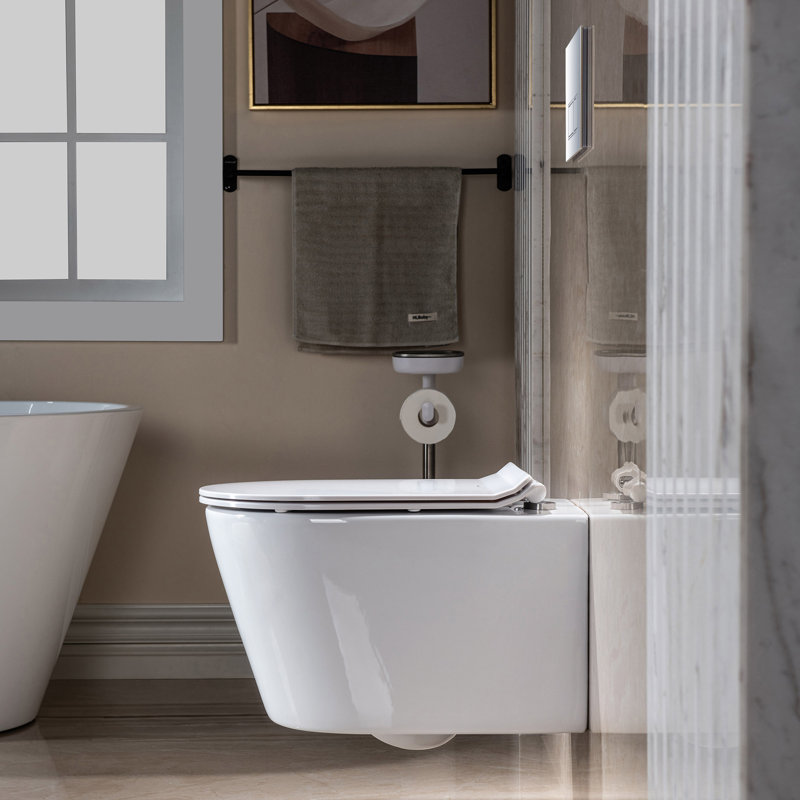 Elongated Wall Mounted Dual Flush High Efficiency Toilet