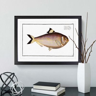 Chinese Herring Fish by M.E. Bloch - Picture Frame Painting Print