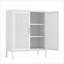 Armoires de rangement avec 2 portes 2 tablettes réglables | Armoire en acier et en métal pour la salle de gym de l'école à domicile | Blanc | Acier