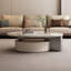 Table basse ovale légère et luxueuse-105170219-105170220