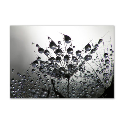 Dandelion Seeds - Wrapped Canvas Print