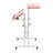Laius Adjustable Standing Desk with Wheels Home Office Workstation-1365566448