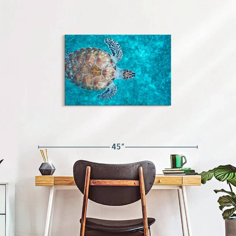 Swimming Hawksbill Sea Turtle, 20" H x 30" W