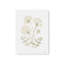 «Anne's Lace II» par House Fenway, reproduction d'art-124912730-124912735-124912740