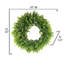 Couronne de plastique eucalyptus 21 po