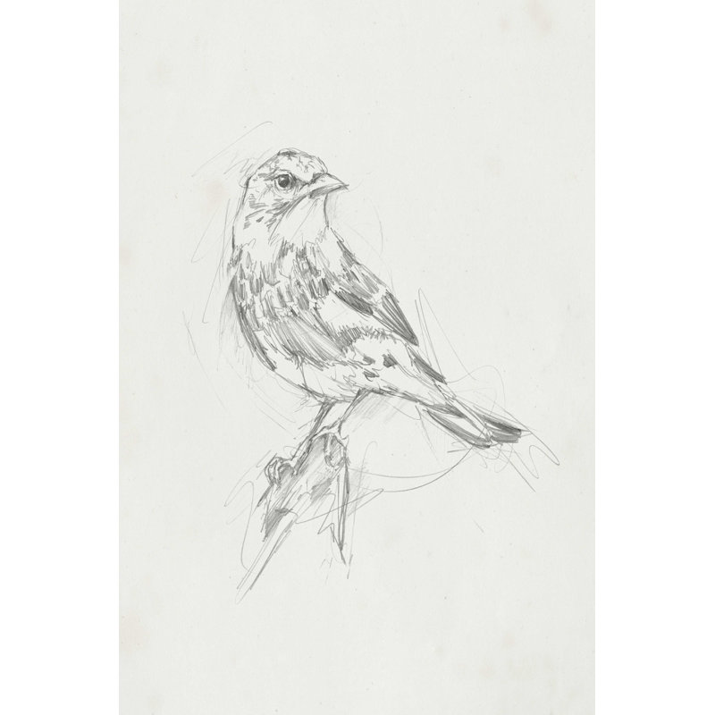 «Avian Study I» par Ethan Harper - reproduction d'art sur toile tendue, H 12 po x l 8 po