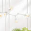 Daniella 8 - Light Chandelier