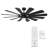 65" Wyndmill 12 - Blade Indoor/Outdoor Smart Ceiling Fan with Remote Control and LED Light Kit Included, Works With Alexa and iOS / Android App-66343258