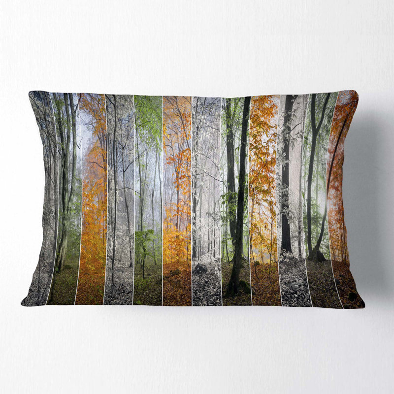 Housse et insert de coussin rectangulaire Schafer