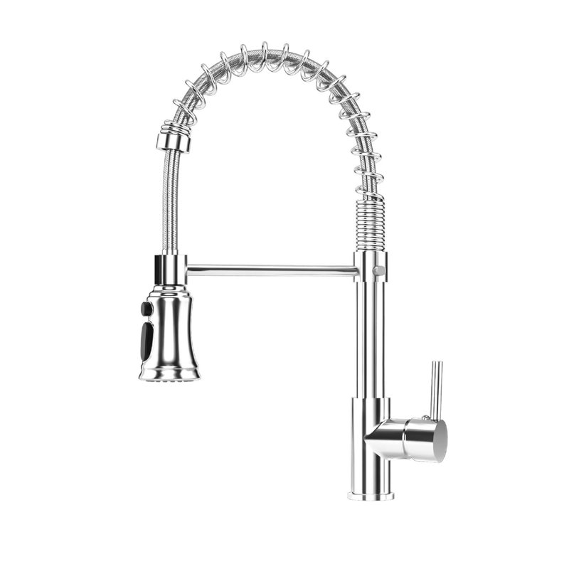 Williston Forge Kitchen Faucet