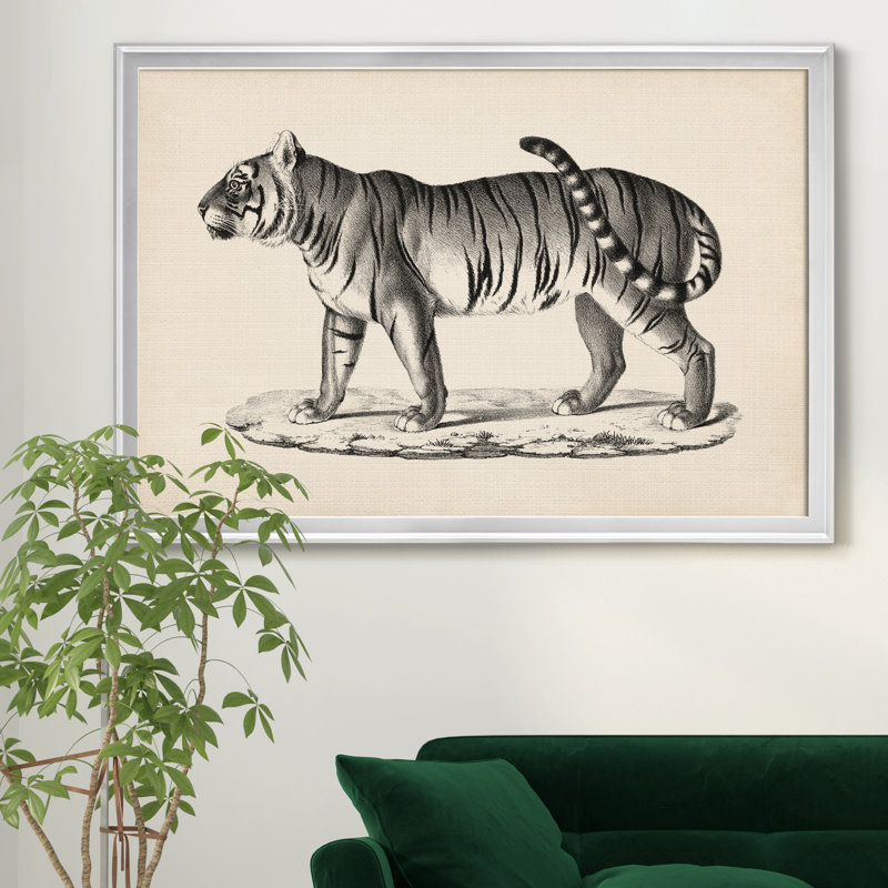 Brodtmann mâle tigre - cadre photo, reproduction d'art sur toile, H 26,5 po x l 36,5 po x P 1,5 po, Argent