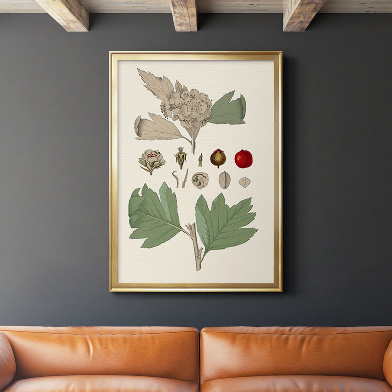 Feuilles et baies IV sur papier, Or, H 42,5 po x l 30,5 po x P 1 po
