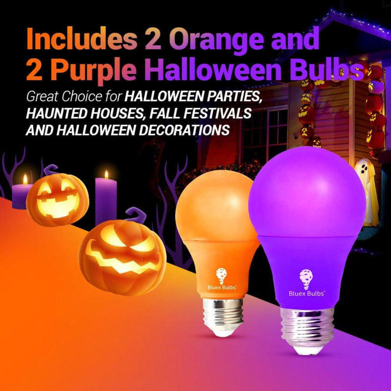 Ampoules, Orange / mauve