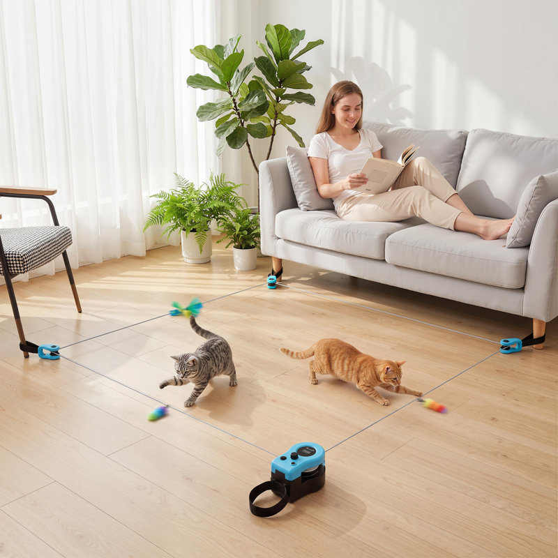 Cat Toys