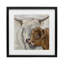 «Highland Cow & Calf Contrast», reproduction d'art sous verre, conception de Lee Keller-714665914-714665916