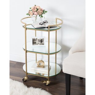 https://assets.wfcdn.com/im/70519471/resize-h310-w310%5Ecompr-r85/1351/135154861/ceferina-metal-bar-cart.jpg