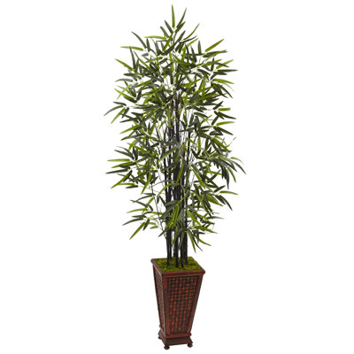66'' Faux Bamboo Tree in Wood Planter