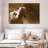 Brampt Wild Arabian Horse